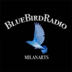BlueBirdRadio