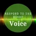 Respond to the Right Voice