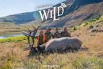EP. 110 The Search for a Giant - Public Land Elk with Tanner Vernon