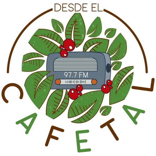 DESDE EL CAFETAL - Café, suelos volcánicos y Terroir