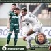 Porcocast #115- Derrota para o Santos faz o Palmeiras dar adeus ao Brasileirão?