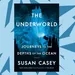 For Earth Day, Susan Casey dives into 'The Underworld' of the deep ocean