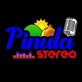 Pinula Stereo