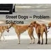 Street Dogs~ Problems and Solutions (Hindi) 