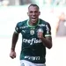 Palmeiras 1x0 Fluminense - JÁ PODE GRITAR É CAMPEÃO?