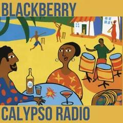 BlackBerry Calypso Radio