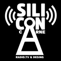 SILICON CARNE RADIO