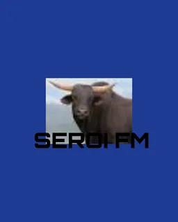 SEROI FM
