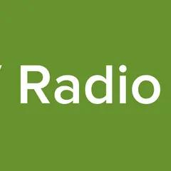 VMV Radio Web