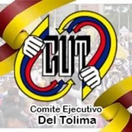 Cut regional Tolima