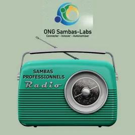 RADIO LES SAMBAS PROFESSIONNELS