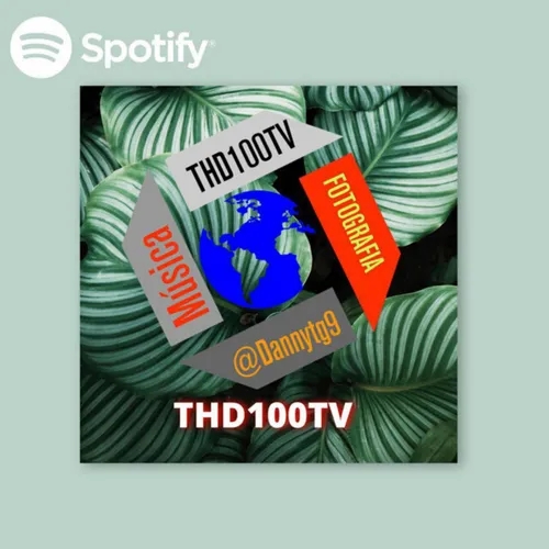 THD100TV REMIXES