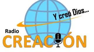 Radio Creación FM