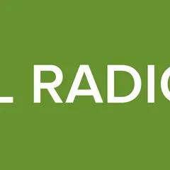 LERAL RADIO 96.1