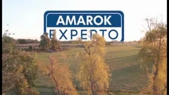 Amarok Experto Argentina