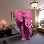 Let’s talk about the Pink Elephant in the room, shall we?