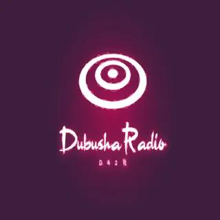 Dubusha Radio And Television