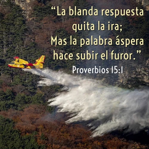 51 - Joyas de Sabiduría - Con quietud apaga un "incendio" [Proverbios 15:1-4]