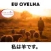 MFJ - Eu Ovelha (私は羊です)