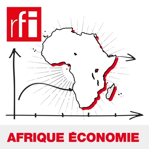 Crise économique au Nigeria: les investisseurs étrangers sous pression [1/2]
