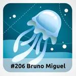 E206 Bruno Miguel