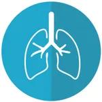 Efeitos das mudanças climáticas: impacto é pago pelos nossos pulmões, alerta OMS