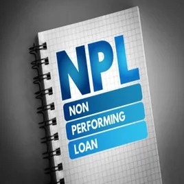 Relevance of Non-Performing Loans to Depositors [Investment Radio Online]