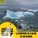 Reportaje EP119 | La Antártida va a dejar de ser blanca
