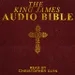 Chapter 1 - The King James Audio Bible Complete