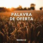  PALAVRA DE OFERTA - APÓSTOLO ALAN - CULTO DA FAMÍLIA NOITE - 10.04.22