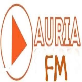 Auria Novidades