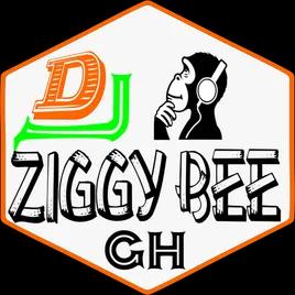 Dj Ziggy Bee Pro