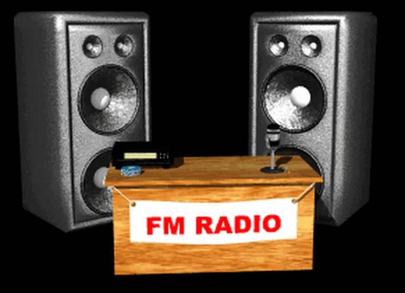 Radio NE FM100  Gapan City