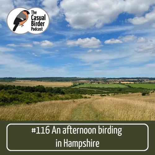 An afternoon birding in Hampshire #116