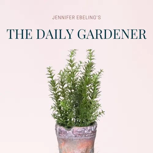 The Daily Gardener