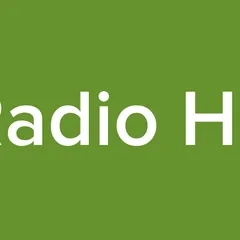 Caribbean Radio HD2 94.9 - FL