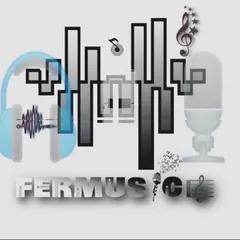 fermusic stereo