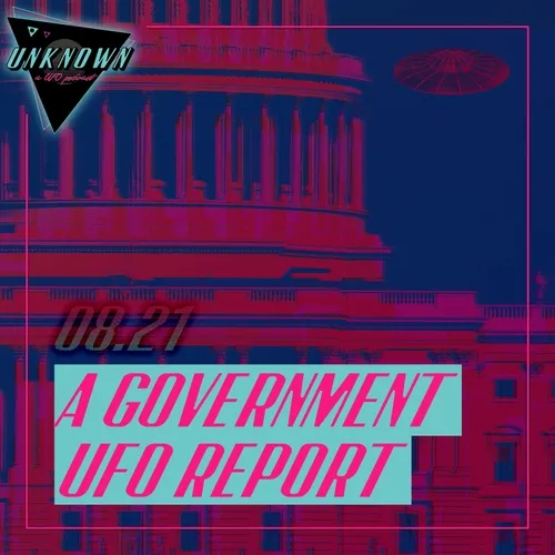 A Government UFO Report