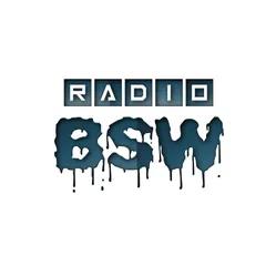 Radio BSW