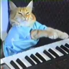 Keyboard Cat FM