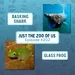 202: Basking Shark & Glass Frog
