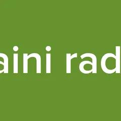 Saini radio