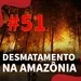 #51 - Desmatamento na Amazônia