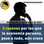 484: 📰📈 3 razones por las que la economía peruana, pese a todo, aún crece