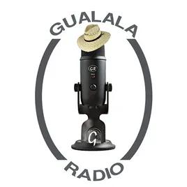 Gualala radio
