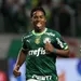 Palmeiras 4x0 América-MG - Mais líderes do que nunca!