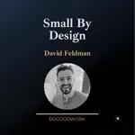 Small By Design with David Feldman