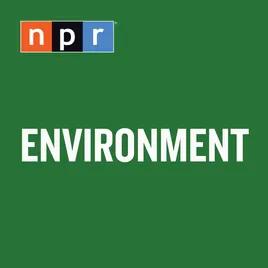 Environment : NPR