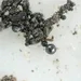 Micro meteoritos
