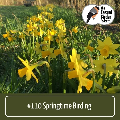 Springtime Birding #110